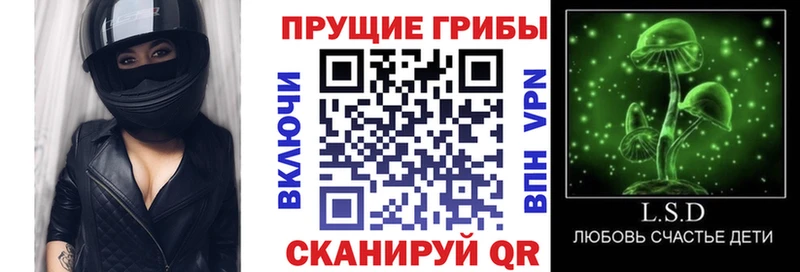 Псилоцибиновые грибы Magic Shrooms  Комсомольск 